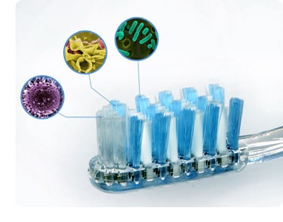Illustration of toothbrush bristles with bacteria, highlighting dental hygiene risks